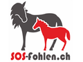 SOS Fohlen
